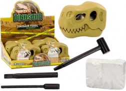 archeologická sada dinosauří vykopávky ve lebce