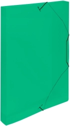 Krabice s gumovou úchytkou A4 Lines zelená