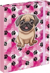 Desky na školní sešity A5 - Tlapky