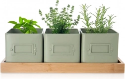 Sada květináčů na bylinky GREENISH se stojánkem, 3 ks