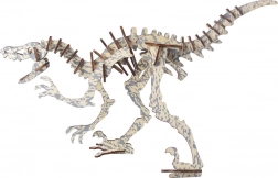 Woodcraft dřevěné 3D puzzle Peinonychus