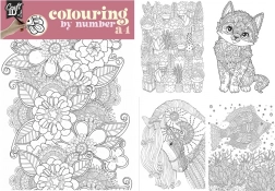 Malování podle čísel A4 s duo pastelkami