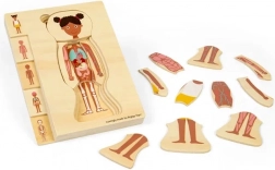 Bigjigs Toys dřevěné puzzle anatomie – dívka