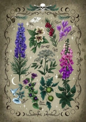 Puzzle Jedovaté Rostliny 1000 dílků