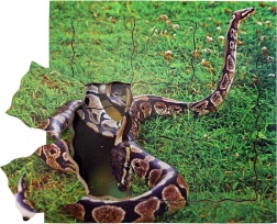 Just Jigsaws Had a jeho životní cyklus dřevěné vrstvené puzzle