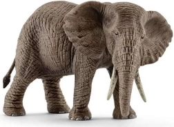 Schleich Wild Life slon africký – samice