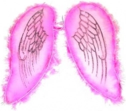 Růžová křídla pro anděla a vílu