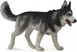 Collecta sibiřský husky – figurka