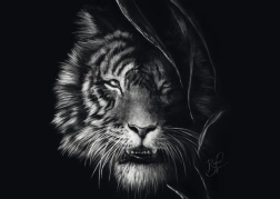 Schmidt puzzle Divokost tygra – ztělesnění svobody 1000 dílků