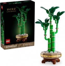 LEGO® Botanicals 10344 Bambus štěstí