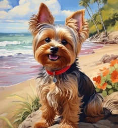 Diamantové malování jorkšír na pláži 30 × 40 cm