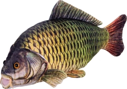 Plyšový kapr 52 cm
