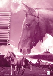 Náčrtník A3 40 listů