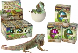 Magické líhnoucí se vajíčko – rostoucí ještěrka 6 cm