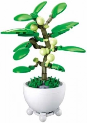 Sluban tropická rostlina v květináči