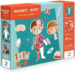 Dodo magnetická hra lidské tělo