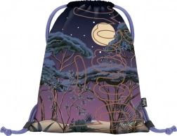 Vak na záda Skate Night