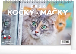 Stolní kalendář Kočky CZ/SK 2026