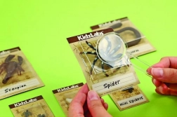 edukační sada vykopávky – broučci