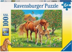 Puzzle Koně na pastvině XXL
