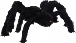Velký černý pavouk na Halloween
