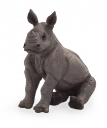 Mojo Nosorožec mládě sedící