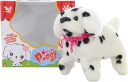 Chodící pejsek dalmatin se saltami