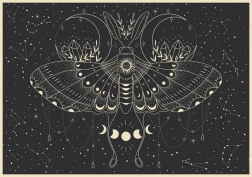 Puzzle Galaxy: Měsíční Motýl 500 dílků