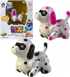 Pejsek jezdící po namalované čáře