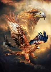 Puzzle Orel 1000 dílků