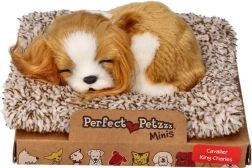 Spící štěňátko Cavalier King Charles Perfect Petzzz