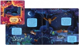 Knížka co se děje v noci