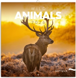 Poznámkový kalendář Divoká zvířata 2026