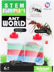 kreativní sada – svět mravenců