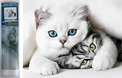 Diamantové malování Kočičí tajemství 30 × 40 cm Norimpex