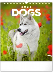 Nástěnný kalendář Psi 2026