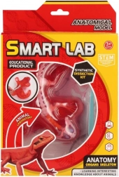 Vědecká sada anatomie – ještěrka