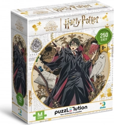 Puzzle DODO Harry Potter: Mladý kouzelník 250 dílků