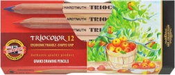 Trojhranné pastelky Triocolor 12 ks KOH-I-NOOR
