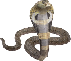 Kovové 3D puzzle COBRA – stavebnice METAL EARTH