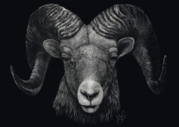 Puzzle Dominance berana: Ztělesnění ohně 1000 dílků SCHMIDT