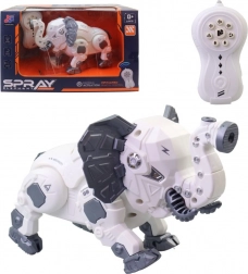 Roboslon na dálkové ovládání