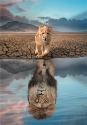 Puzzle 300 dílků – Autoreflexe