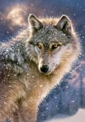 puzzle 500 dílků lone wolf