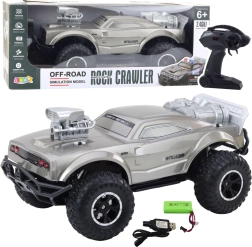 Velké RC terénní sportovní auto 1:8, stříbrné