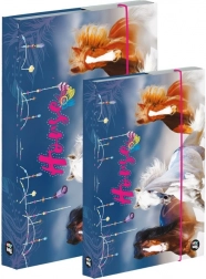 Sada boxů na sešity a4 a a5 – kůň