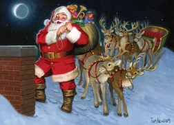 Puzzle Na střeše 500 dílků