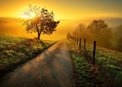 Ravensburger puzzle Ráno ve zlatých paprscích 1000 dílků