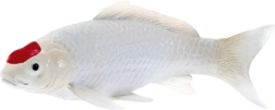 Mojo figurka kapr koi tancho