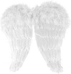 Andělská křídla s peřím